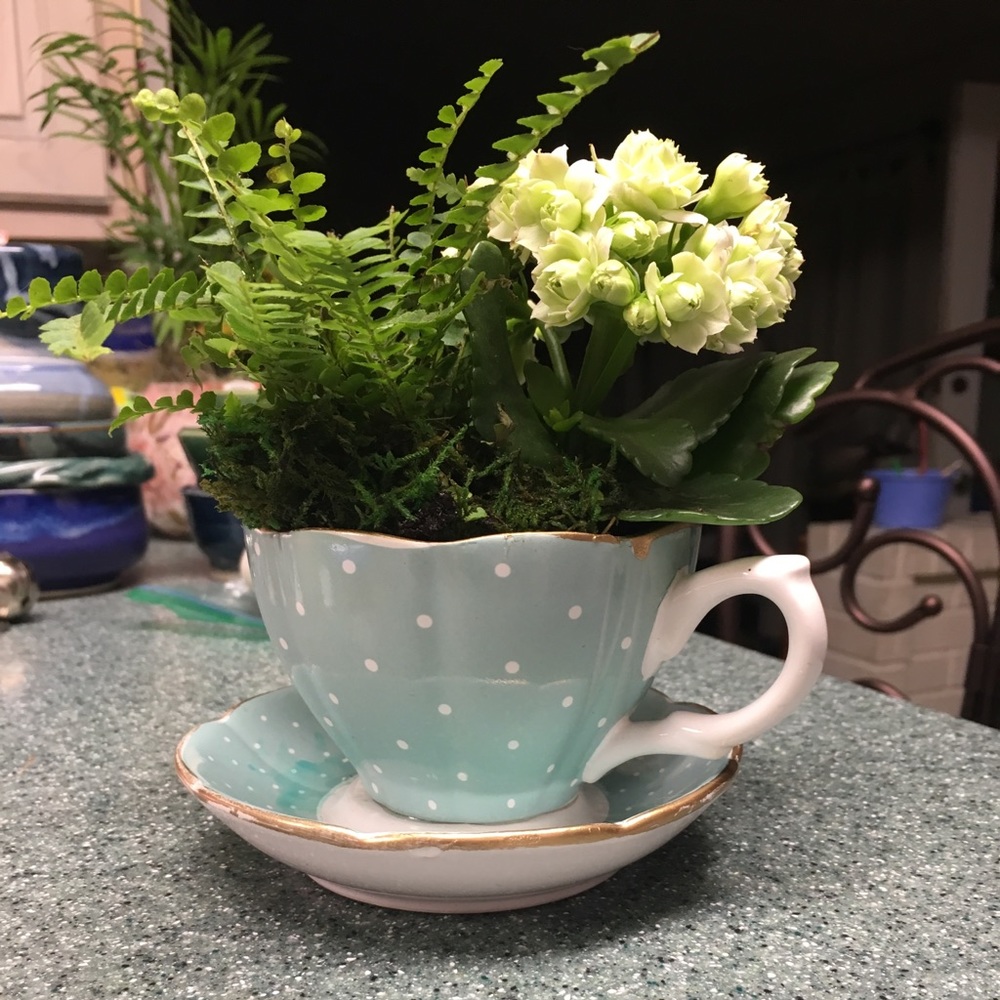 🌸Bundle up for discount & pay only one shipping